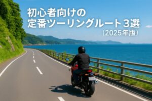 初心者向けツーリングルートを走るライダーの写真（海沿いの日本の道を左側走行）