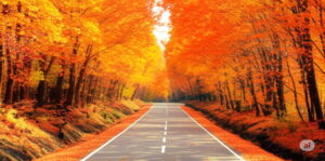 磐梯吾妻スカイラインの紅葉と猪苗代湖